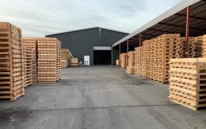 woodmateo_galeria_glowna_001a