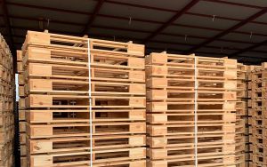 woodmateo_galeria_glowna_006av2