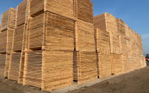 woodmateo_tarcica_i_wiezba_005